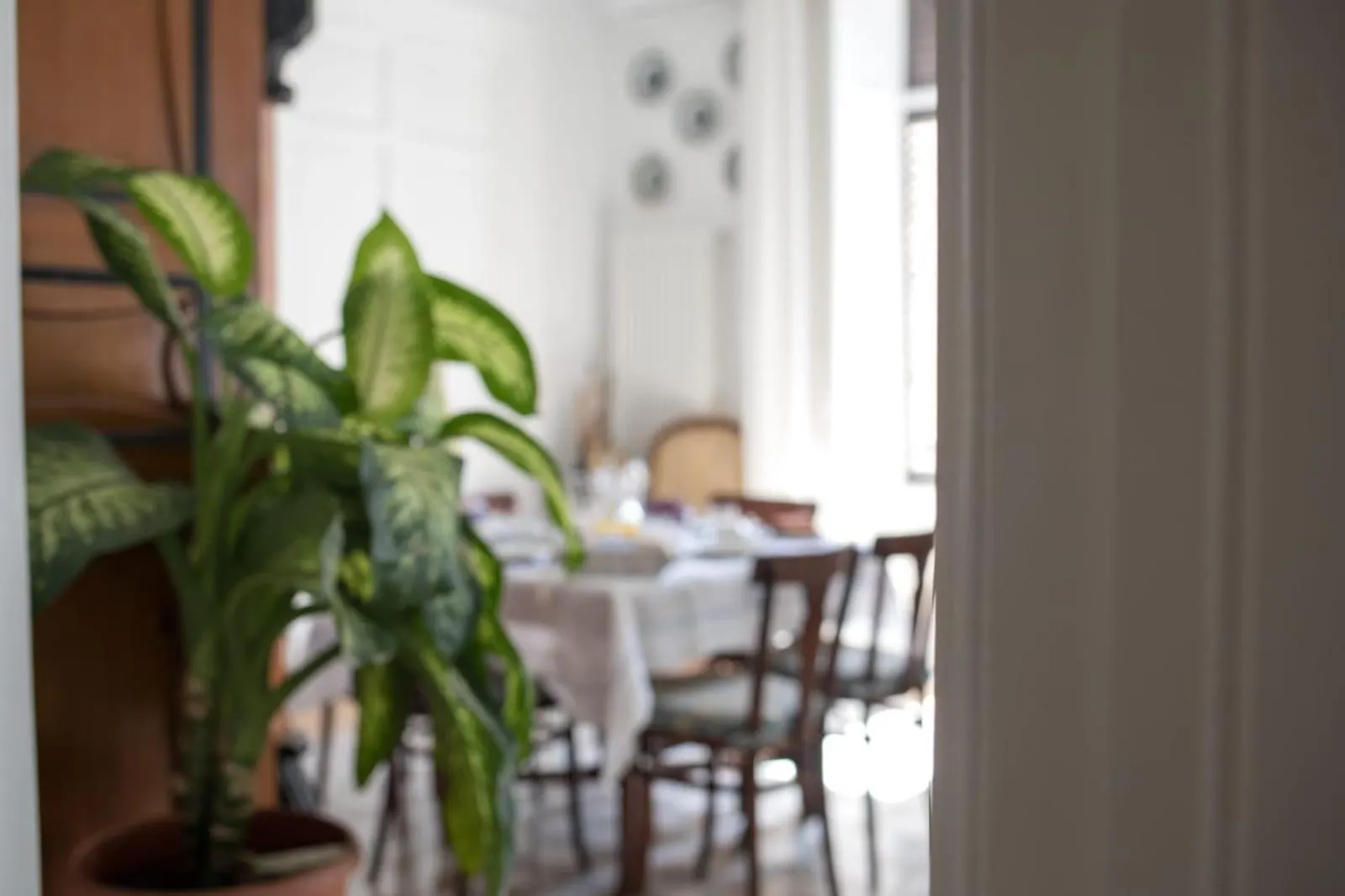Arte Bianca Bed & Breakfast Palermo 0*,  Italy